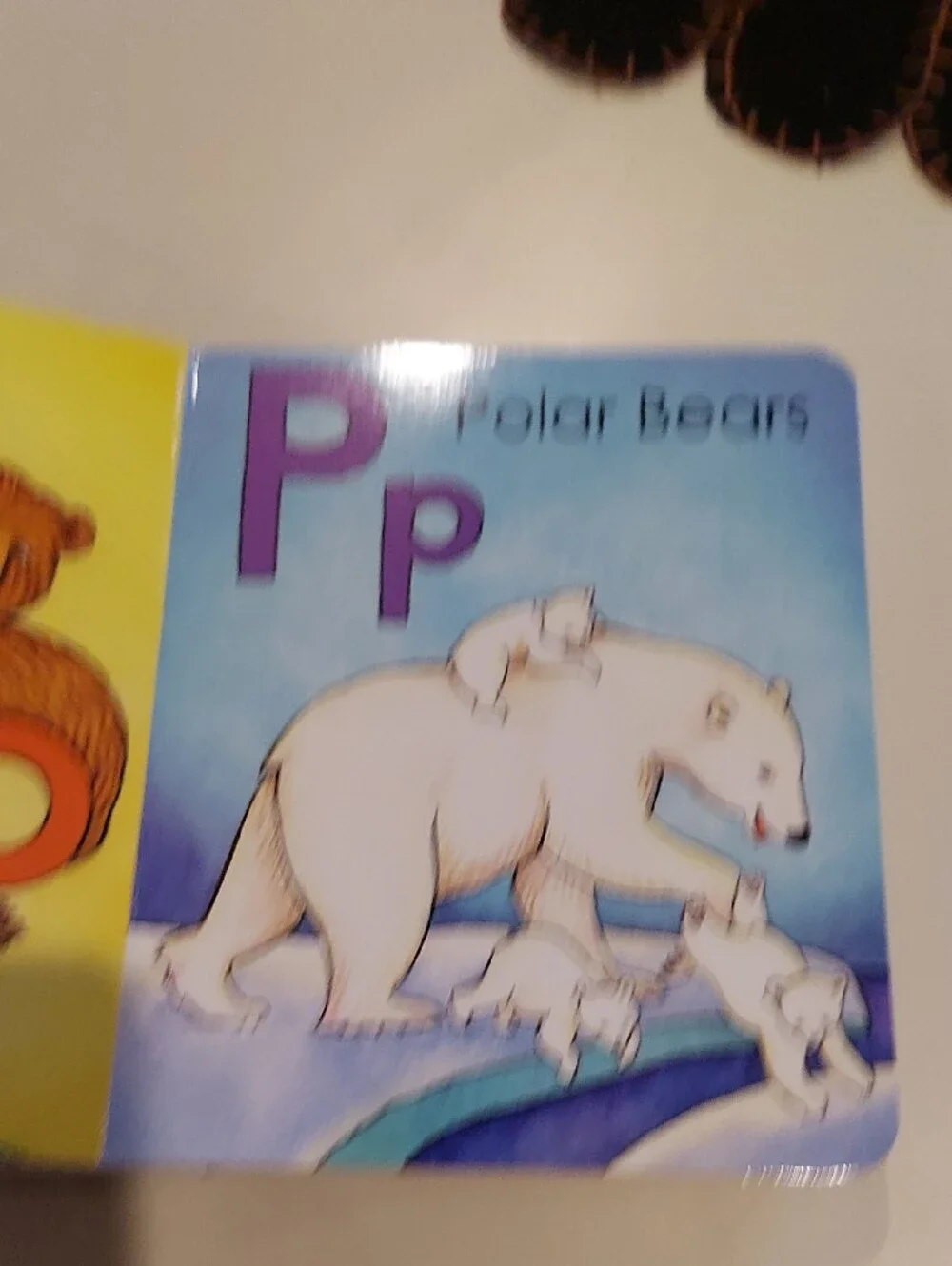Alaska's ABC Bears - Kids Board Book